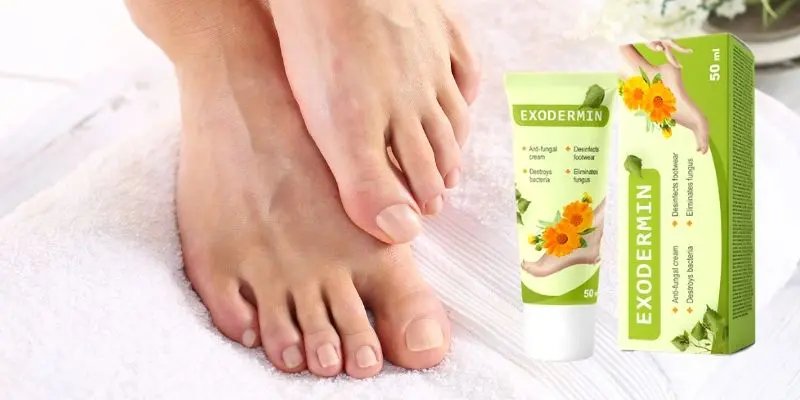 Overview of exodermin cena w aptece