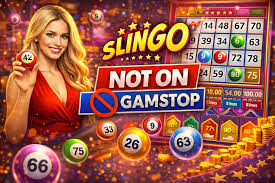 Exploring Online Bingo Without Registration A Guide to Instant Fun