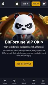 Why Players Prefer DOGE A Cryptocurrency Revolution in Gaming